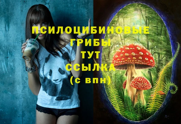 mdpv Верея