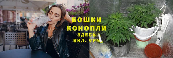 mdpv Верея